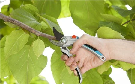 Gardena Comfort Snoeischaar Luxe 2 Gardena Comfort Snoeischaar Luxe - Afbeelding 2