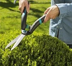 Gardena Buxusschaar 7 Gardena Buxusschaar -Boom Ziel Verkoop 4078500049115 4