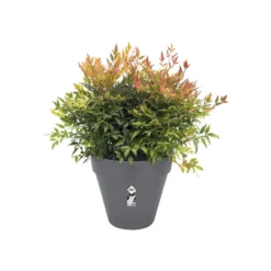 Elho Bloempot Loft Urban - D 30 Cm - Antraciet 11 Elho Bloempot Loft Urban - D 30 Cm - Antraciet -Boom Ziel Verkoop 8711904184230.in02