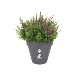 Elho Bloempot Loft Urban - D 30 Cm - Antraciet 10 Elho Bloempot Loft Urban - D 30 Cm - Antraciet -Boom Ziel Verkoop 8711904184230.in03
