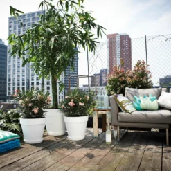 Elho Bloempot Loft Urban Rond Wielen - D 60 Cm - Wit 14 Elho Bloempot Loft Urban Rond Wielen - D 60 Cm - Wit -Boom Ziel Verkoop 8711904200480.in04