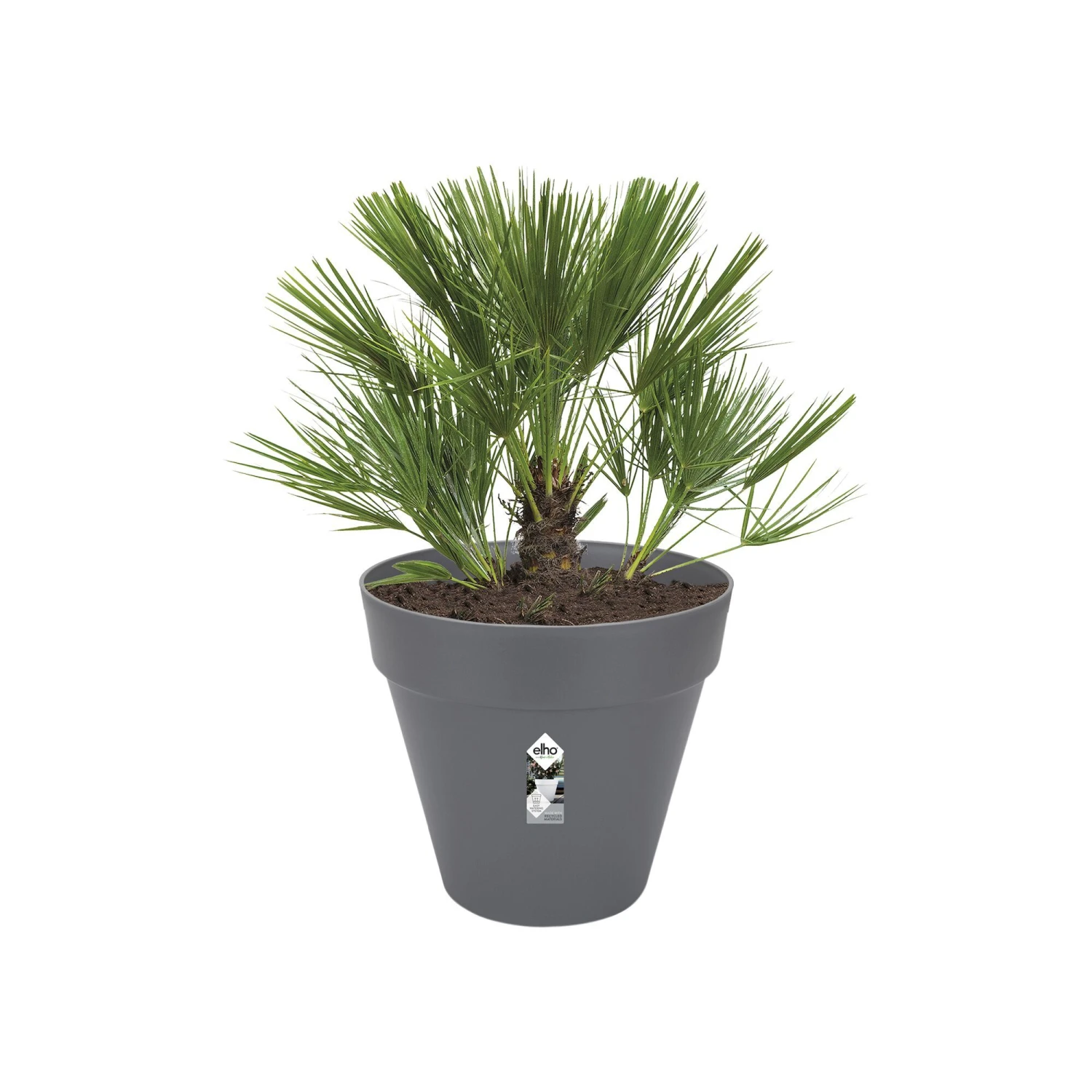Elho Bloempot Loft Urban Rond Wielen - D 60 Cm - Antraciet 3 Elho Bloempot Loft Urban Rond Wielen - D 60 Cm - Antraciet - Afbeelding 3