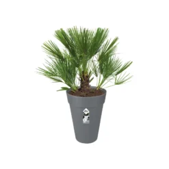 Elho Bloempot Loft Urban Hoog - D 42 Cm - Antraciet -Boom Ziel Verkoop 8711904200930.in02