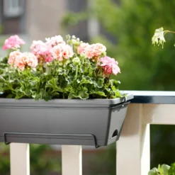 Elho Balkonbak Barcelona Allin1 -Boom Ziel Verkoop 8711904249038.in04