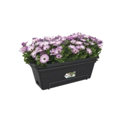 Elho Balkonbak Green Basics XL Allin1 - L 55 Cm - Zwart -Boom Ziel Verkoop 8711904315078.in02