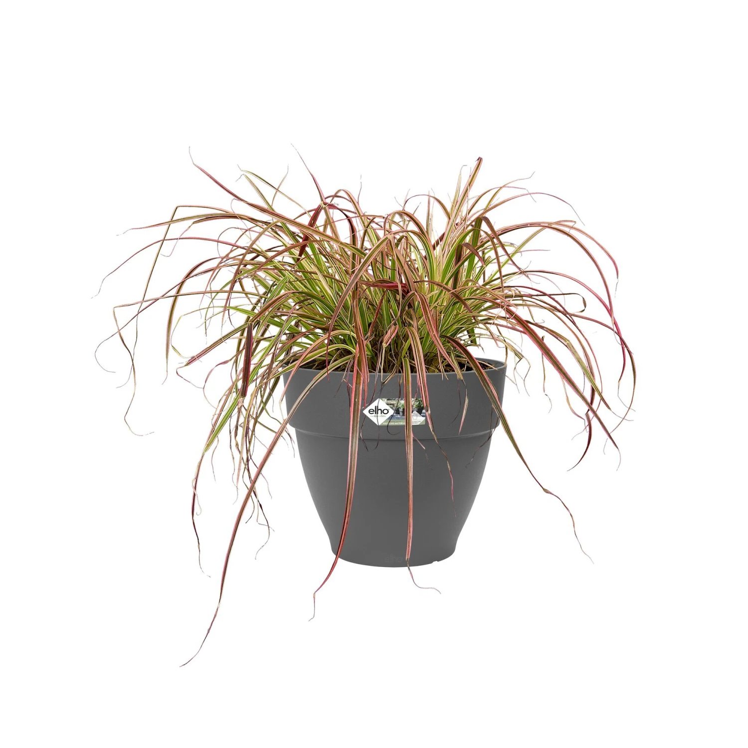 Elho Bloempot Vibia Campana Rond - D 35 Cm - Antraciet 5 Elho Bloempot Vibia Campana Rond - D 35 Cm - Antraciet - Afbeelding 5
