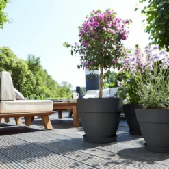 Elho Bloempot Vibia Campana Rond - D 35 Cm - Antraciet 18 Elho Bloempot Vibia Campana Rond - D 35 Cm - Antraciet -Boom Ziel Verkoop 8711904333201.in06