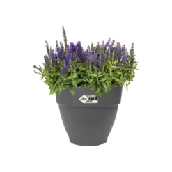 Elho Bloempot Vibia Campana Rond - D 40 Cm - Antraciet 14 Elho Bloempot Vibia Campana Rond - D 40 Cm - Antraciet -Boom Ziel Verkoop 8711904333218.in02