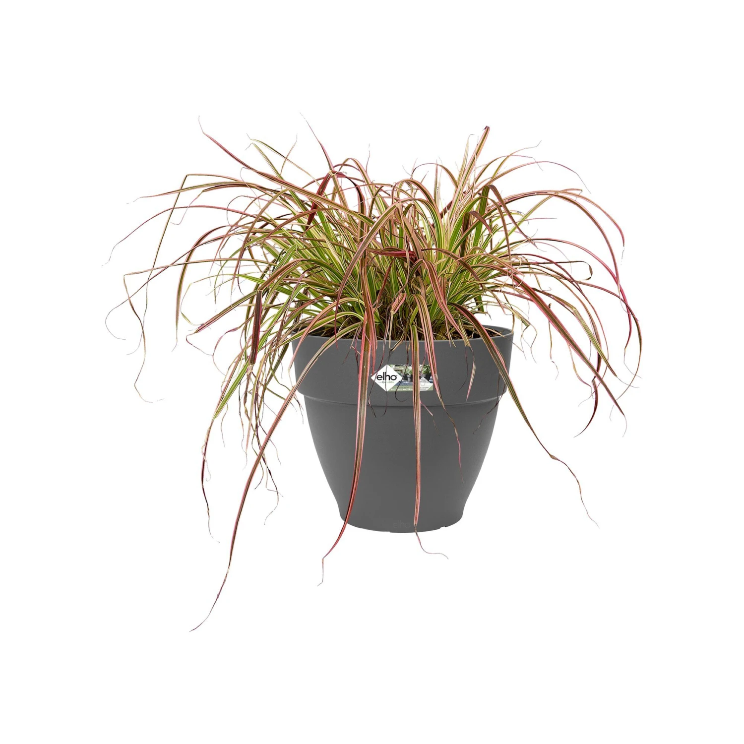 Elho Bloempot Vibia Campana Rond - D 40 Cm - Antraciet 5 Elho Bloempot Vibia Campana Rond - D 40 Cm - Antraciet - Afbeelding 5