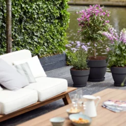 Elho Bloempot Vibia Campana Rond - D 40 Cm - Antraciet 16 Elho Bloempot Vibia Campana Rond - D 40 Cm - Antraciet -Boom Ziel Verkoop 8711904333218.in05