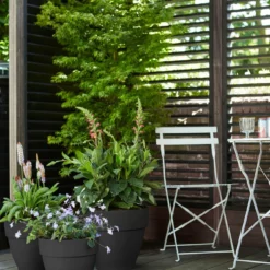 Elho Bloempot Vibia Campana Rond - D 40 Cm - Antraciet 18 Elho Bloempot Vibia Campana Rond - D 40 Cm - Antraciet -Boom Ziel Verkoop 8711904333218.in06