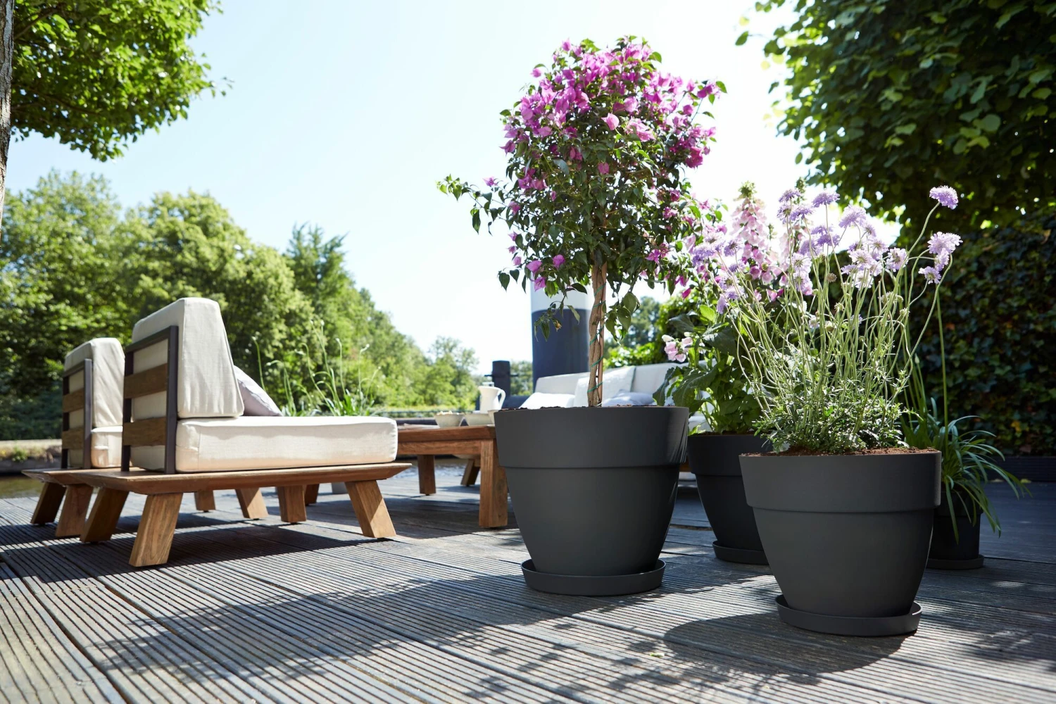 Elho Bloempot Vibia Campana Rond - D 47 Cm - Antraciet 7 Elho Bloempot Vibia Campana Rond - D 47 Cm - Antraciet - Afbeelding 7