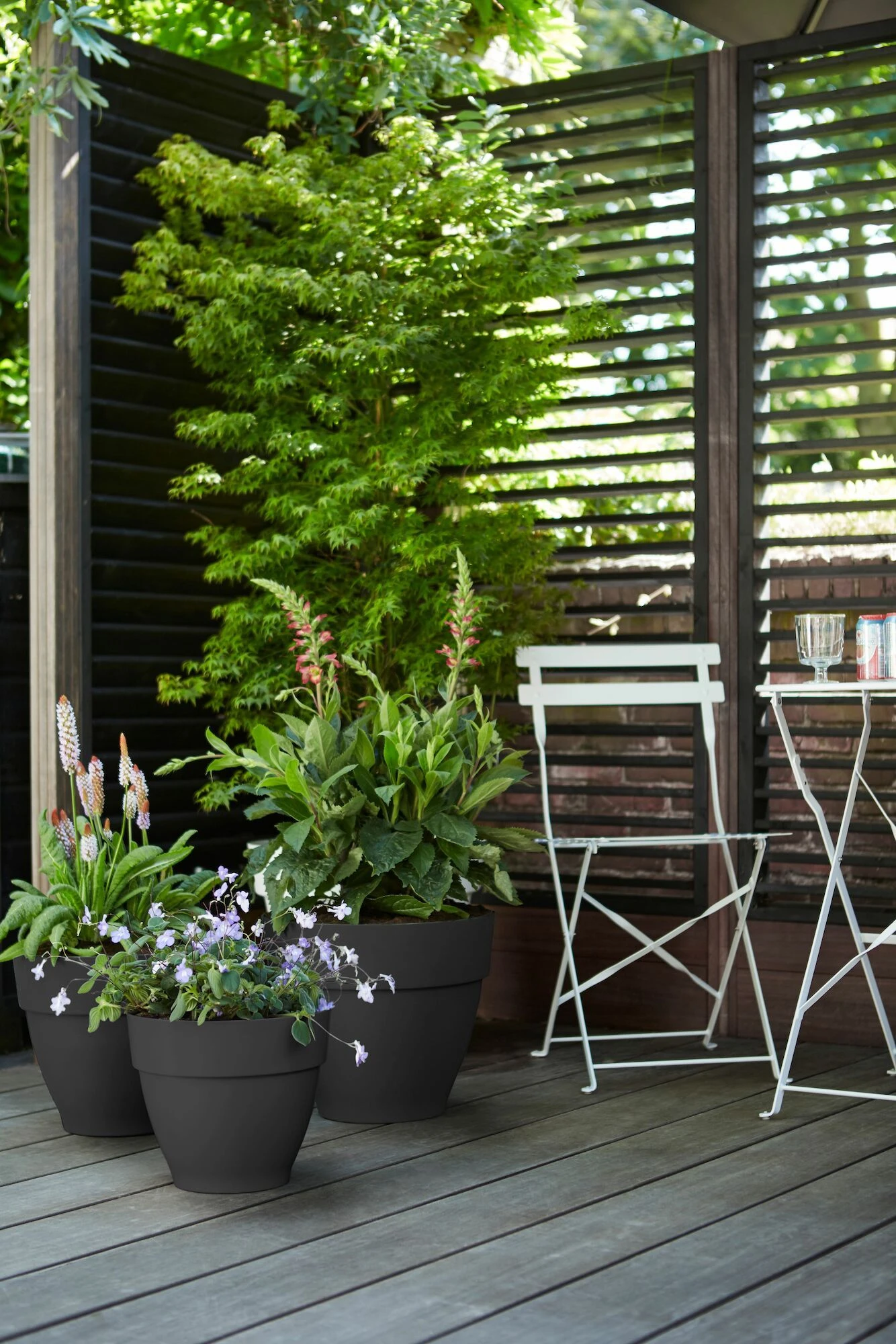 Elho Bloempot Vibia Campana Rond - D 47 Cm - Antraciet 6 Elho Bloempot Vibia Campana Rond - D 47 Cm - Antraciet - Afbeelding 6