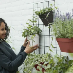 Elho Wandrek Loft Urban Green Wall - Zwart 9 Elho Wandrek Loft Urban Green Wall - Zwart -Boom Ziel Verkoop 8711904334444.in04