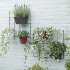 Elho Wandrek Loft Urban Green Wall - Zwart 10 Elho Wandrek Loft Urban Green Wall - Zwart -Boom Ziel Verkoop 8711904334444.in05