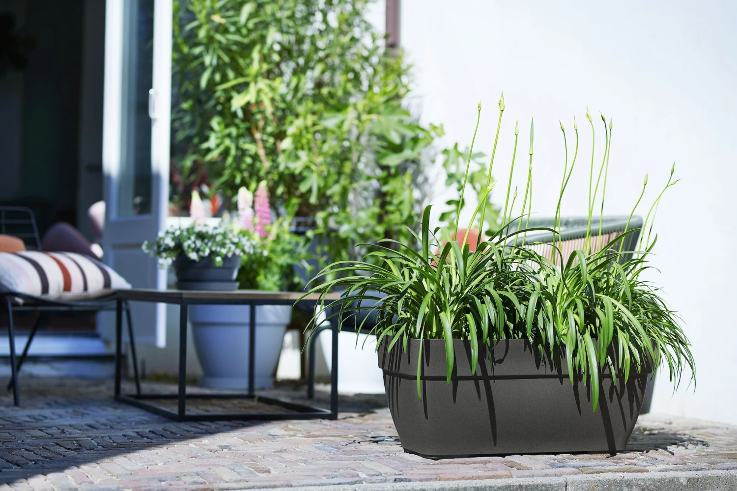 Elho Terrasbak Vibia Campana - L 80 Cm - Antraciet 6 Elho Terrasbak Vibia Campana - L 80 Cm - Antraciet - Afbeelding 6