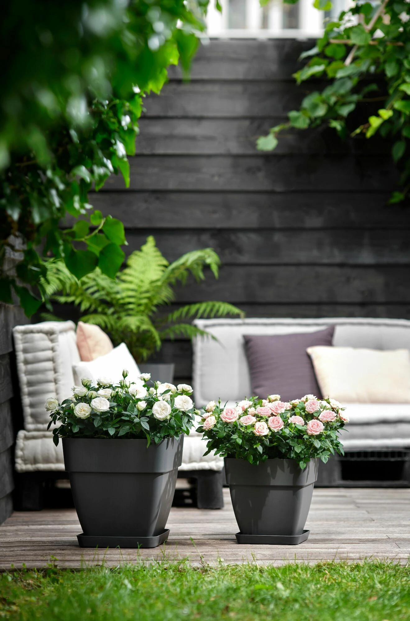 Elho Bloempot Vibia Campana Vierkant - D 37 Cm - Antraciet 6 Elho Bloempot Vibia Campana Vierkant - D 37 Cm - Antraciet - Afbeelding 6