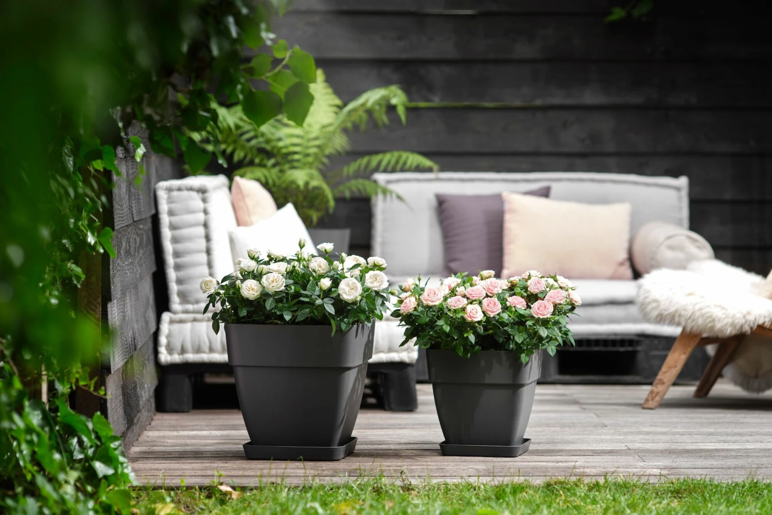 Elho Bloempot Vibia Campana Vierkant - D 37 Cm - Antraciet 7 Elho Bloempot Vibia Campana Vierkant - D 37 Cm - Antraciet - Afbeelding 7