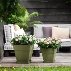 Elho Bloempot Vibia Campana Vierkant - D 37 Cm - Saliegroen -Boom Ziel Verkoop 8711904361228.in04