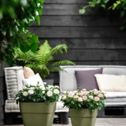 Elho Bloempot Vibia Campana Vierkant - D 37 Cm - Saliegroen -Boom Ziel Verkoop 8711904361228.in05