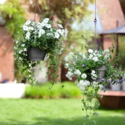 Elho Hangschaal Vibia Campana - D 26 Cm - Antraciet 13 Elho Hangschaal Vibia Campana - D 26 Cm - Antraciet -Boom Ziel Verkoop 8711904361280.in04