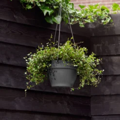 Elho Hangschaal Vibia Campana - D 26 Cm - Antraciet 14 Elho Hangschaal Vibia Campana - D 26 Cm - Antraciet -Boom Ziel Verkoop 8711904361280.in05