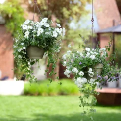 Elho Hangschaal Vibia Campana - D 26 Cm -Saliegroen -Boom Ziel Verkoop 8711904361341.in04