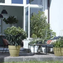 Elho Bloempot Vibia Campana Rond - D 35 Cm - Saliegroen 16 Elho Bloempot Vibia Campana Rond - D 35 Cm - Saliegroen -Boom Ziel Verkoop 8711904482930.in05