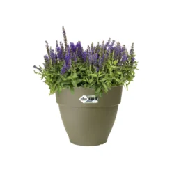 Elho Bloempot Vibia Campana Rond - D 47 Cm - Saliegroen 13 Elho Bloempot Vibia Campana Rond - D 47 Cm - Saliegroen -Boom Ziel Verkoop 8711904483098.in02