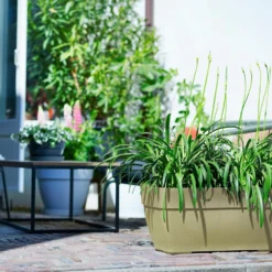 Elho Terrasbak Vibia Campana - L 80 Cm - Saliegroen -Boom Ziel Verkoop 8711904483241.in04