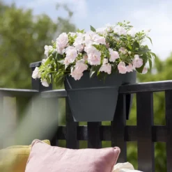 Elho Flower Bridge Vibia Campana - L 40 Cm - Antraciet 15 Elho Flower Bridge Vibia Campana - L 40 Cm - Antraciet -Boom Ziel Verkoop 8711904492823.in04