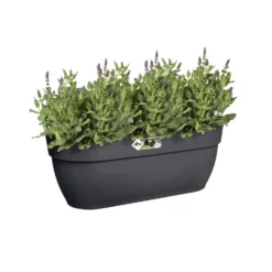 Elho Balkonbak Easy Hanger Vibia Campana Large - Antraciet 16 Elho Balkonbak Easy Hanger Vibia Campana Large - Antraciet -Boom Ziel Verkoop 8711904492991.in03