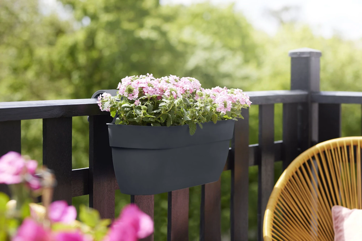 Elho Balkonbak Easy Hanger Vibia Campana Large - Antraciet 7 Elho Balkonbak Easy Hanger Vibia Campana Large - Antraciet - Afbeelding 7