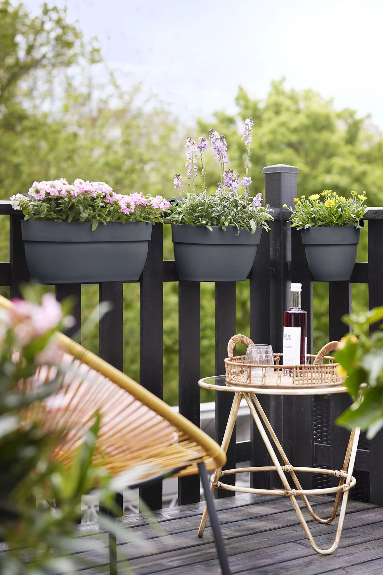 Elho Balkonbak Easy Hanger Vibia Campana Large - Antraciet 9 Elho Balkonbak Easy Hanger Vibia Campana Large - Antraciet - Afbeelding 9