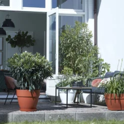 Elho Schaal Vibia Campana - D 34 Cm - Antraciet 15 Elho Schaal Vibia Campana - D 34 Cm - Antraciet -Boom Ziel Verkoop 8711904493530.in05