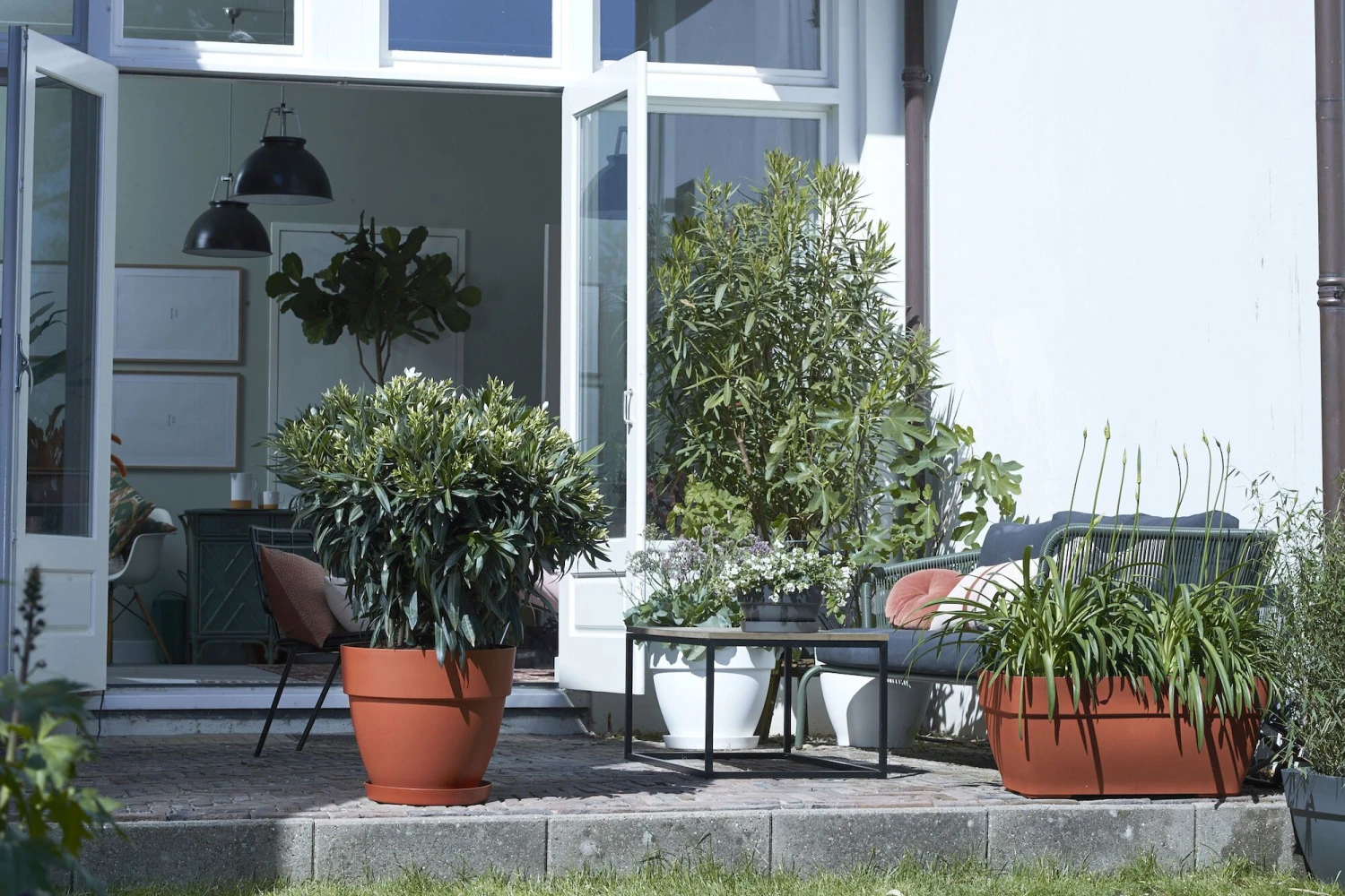 Elho Schaal Vibia Campana - D 34 Cm - Antraciet 6 Elho Schaal Vibia Campana - D 34 Cm - Antraciet - Afbeelding 6