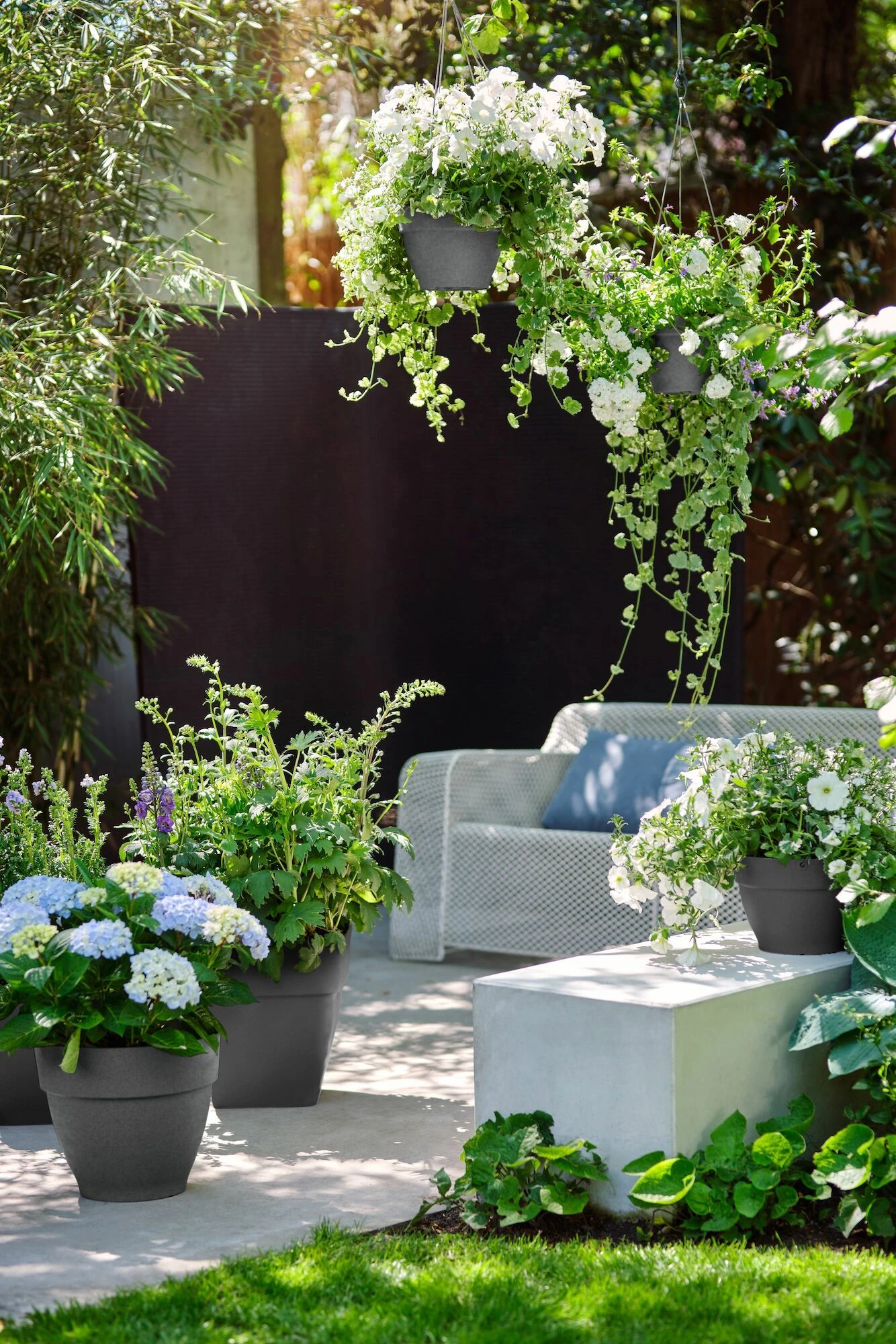 Elho Schaal Vibia Campana - D 34 Cm - Antraciet 5 Elho Schaal Vibia Campana - D 34 Cm - Antraciet - Afbeelding 5