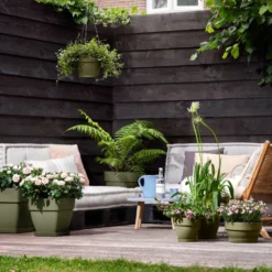 Elho Schaal Vibia Campana - D 34 Cm - Saliegroen -Boom Ziel Verkoop 8711904493592.in04