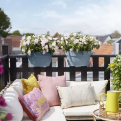 Elho Flower Bridge Vibia Campana - L 40 Cm - Vintage Blauw 16 Elho Flower Bridge Vibia Campana - L 40 Cm - Vintage Blauw -Boom Ziel Verkoop 8711904495169.in05