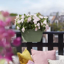 Elho Flower Bridge Vibia Campana - L 40 Cm - Pistachegroen 17 Elho Flower Bridge Vibia Campana - L 40 Cm - Pistachegroen -Boom Ziel Verkoop 8711904499716.in05