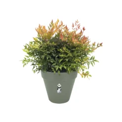 Elho Bloempot Loft Urban Rond Wielen - D 40 Cm - Pistachegroen -Boom Ziel Verkoop 8711904500566.in02