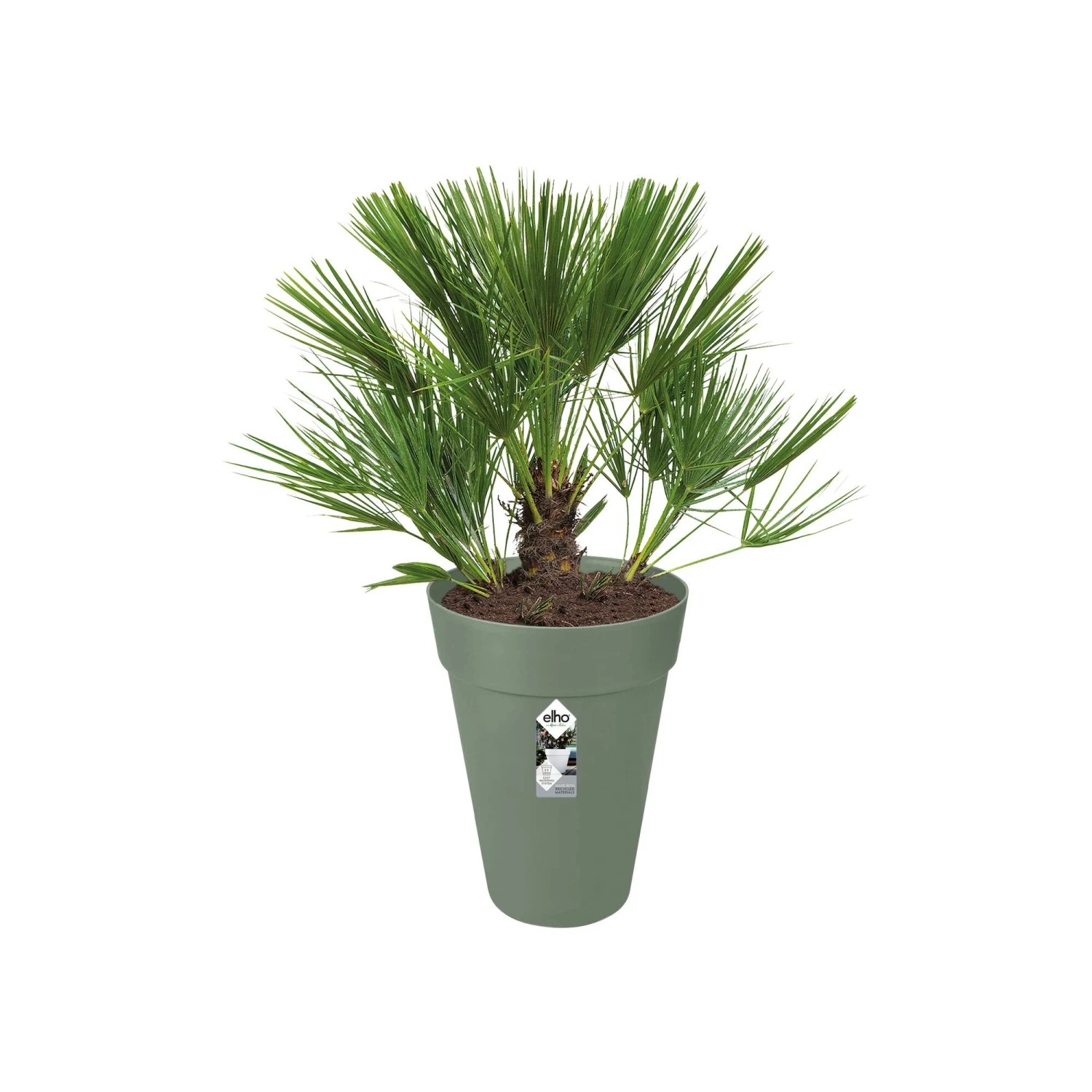 Elho Bloempot Loft Urban Hoog - D 35 Cm - Pistachegroen 4 Elho Bloempot Loft Urban Hoog - D 35 Cm - Pistachegroen - Afbeelding 4