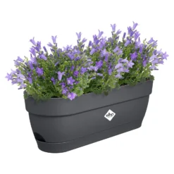 Elho Balkonbak Vibia Campana - L 50 Cm - Antraciet 12 Elho Balkonbak Vibia Campana - L 50 Cm - Antraciet -Boom Ziel Verkoop 8711904521653.in03