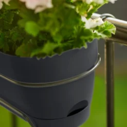 Elho Balkonbak Vibia Campana - L 50 Cm - Antraciet 13 Elho Balkonbak Vibia Campana - L 50 Cm - Antraciet -Boom Ziel Verkoop 8711904521653.in04