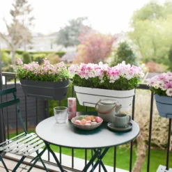 Elho Balkonbak Vibia Campana - L 50 Cm - Vintage Blauw 15 Elho Balkonbak Vibia Campana - L 50 Cm - Vintage Blauw -Boom Ziel Verkoop 8711904521806.in06