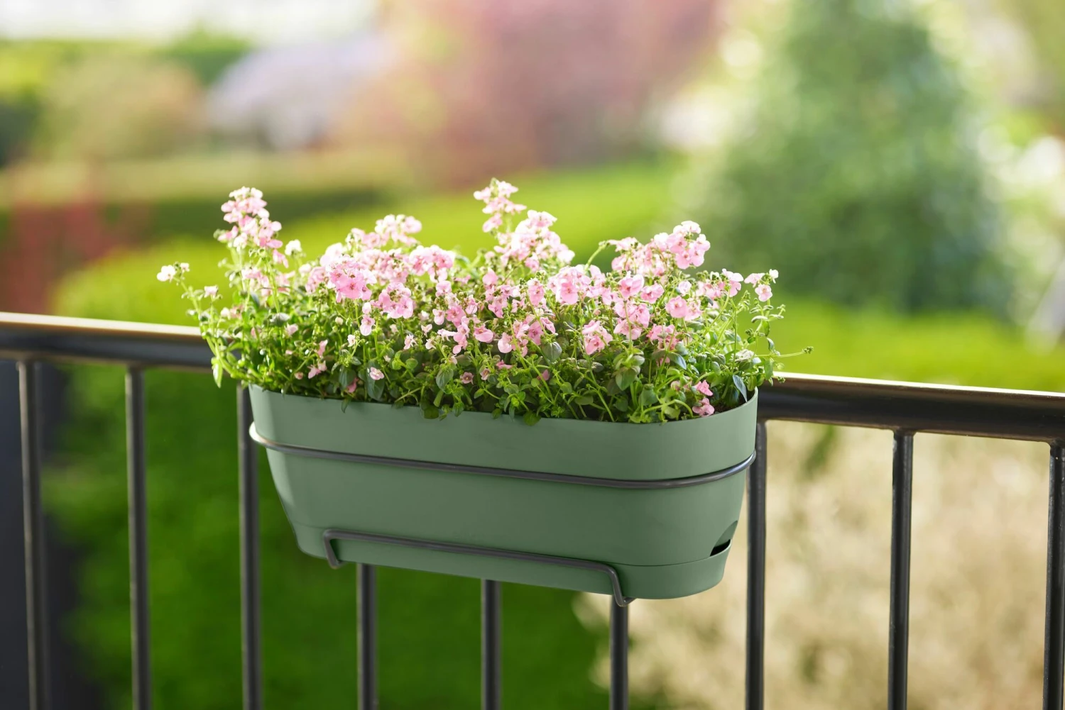 Elho Balkonbak Vibia Campana - L 70 Cm - Pistachegroen 6 Elho Balkonbak Vibia Campana - L 70 Cm - Pistachegroen - Afbeelding 6