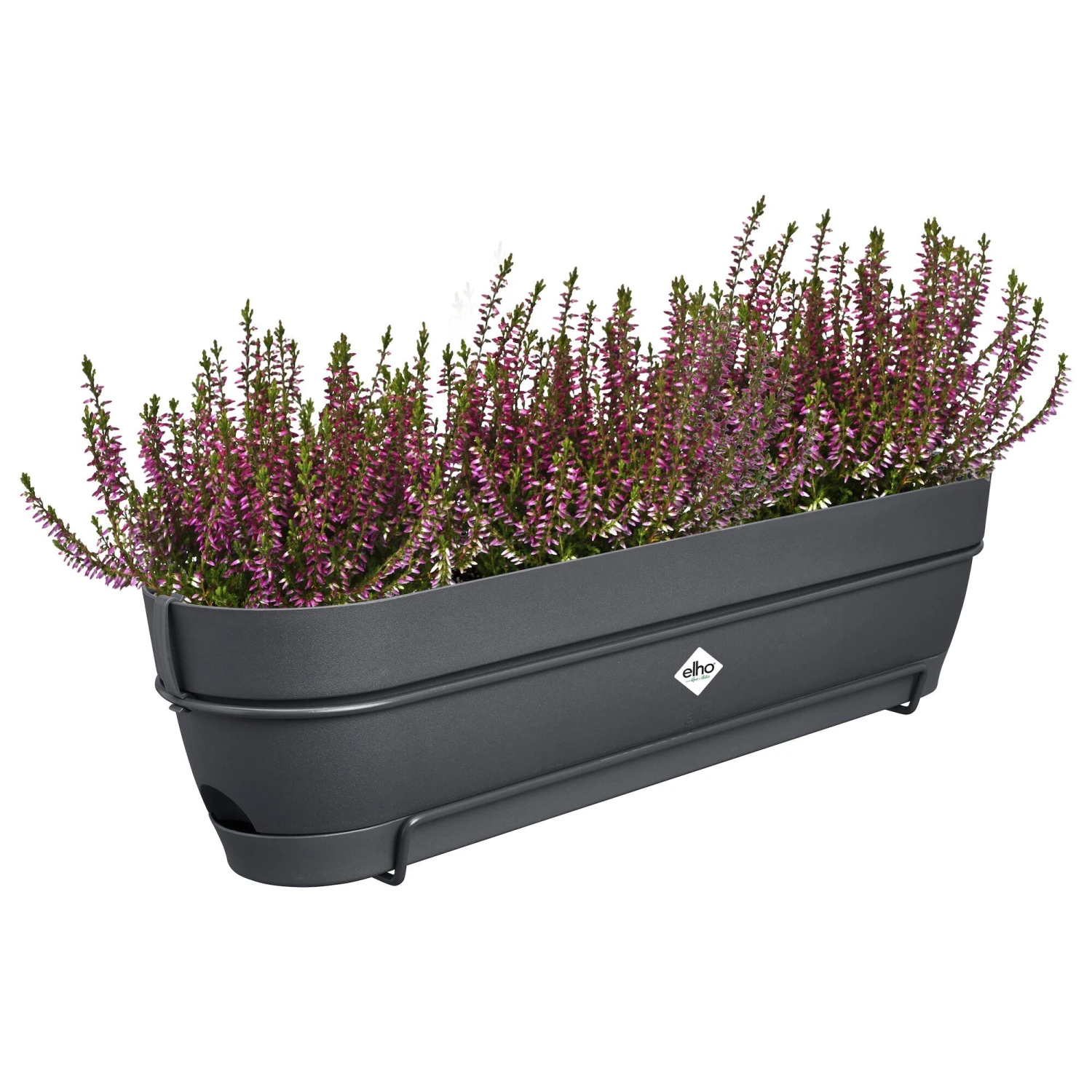 Elho Balkonbak Vibia Campana Allin1 - L 70 Cm - Antraciet 6 Elho Balkonbak Vibia Campana Allin1 - L 70 Cm - Antraciet - Afbeelding 6