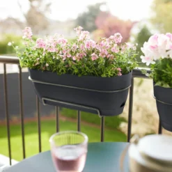 Elho Balkonbak Vibia Campana Allin1 - L 70 Cm - Antraciet 16 Elho Balkonbak Vibia Campana Allin1 - L 70 Cm - Antraciet -Boom Ziel Verkoop 8711904522445.in05