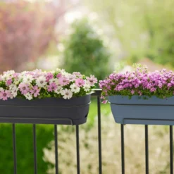 Elho Balkonbak Vibia Campana Allin1 - L 70 Cm - Antraciet 17 Elho Balkonbak Vibia Campana Allin1 - L 70 Cm - Antraciet -Boom Ziel Verkoop 8711904522445.in06