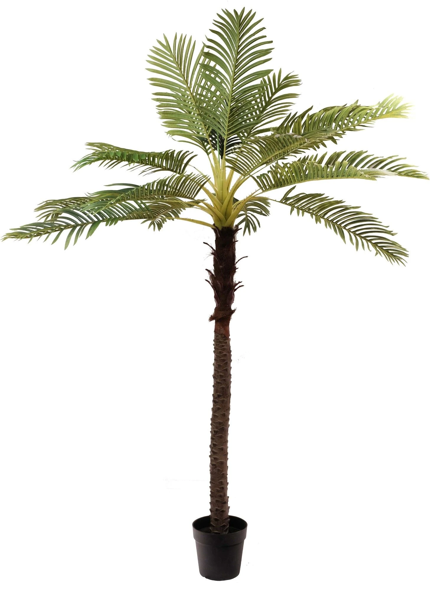 Kunst Palmboom In Pot 3 Kunst Palmboom In Pot - Afbeelding 3